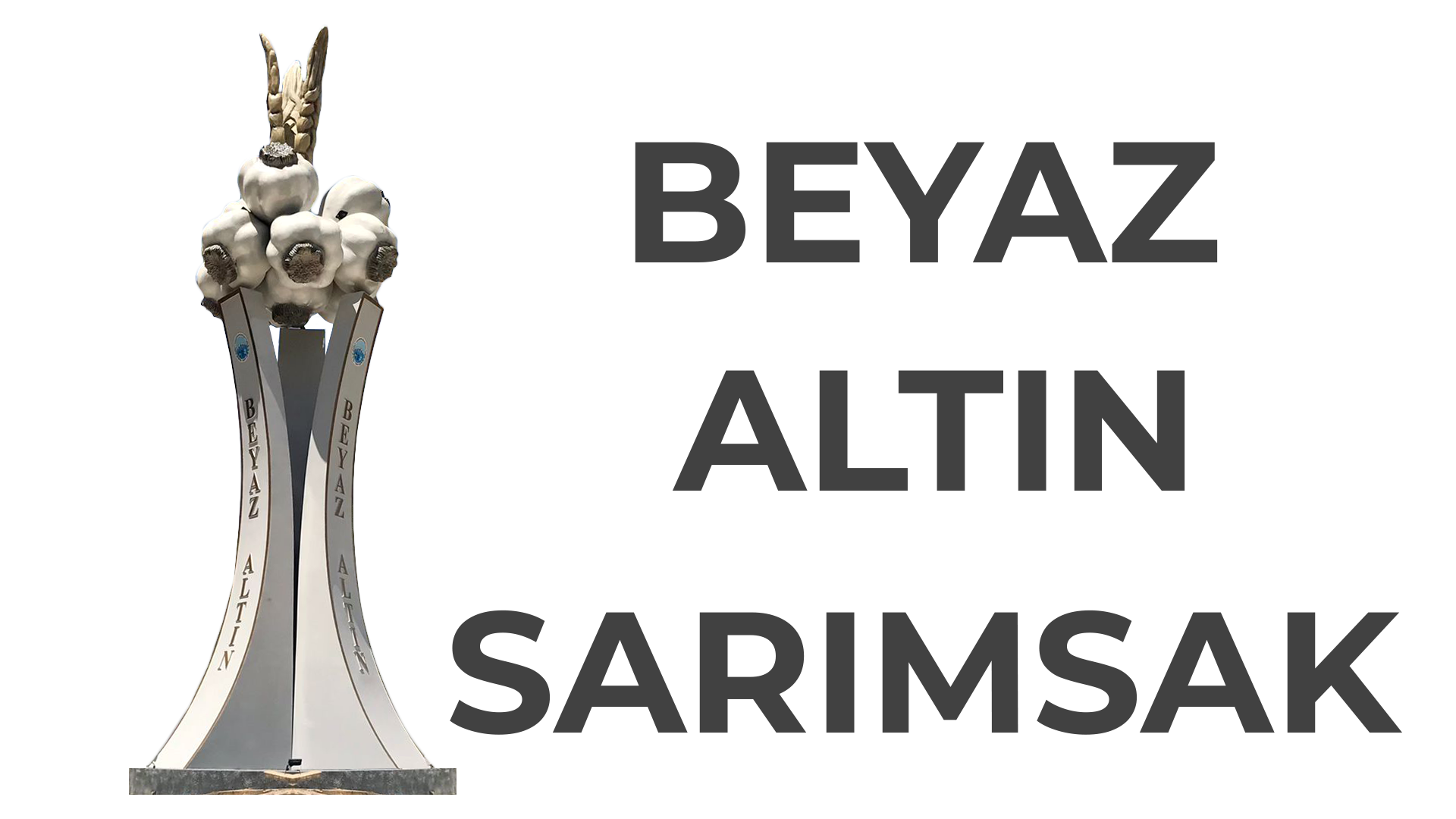 beyazaltinsarimsak.com