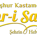 Şehri Sanat